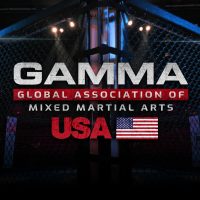 gamma profile gamma profile